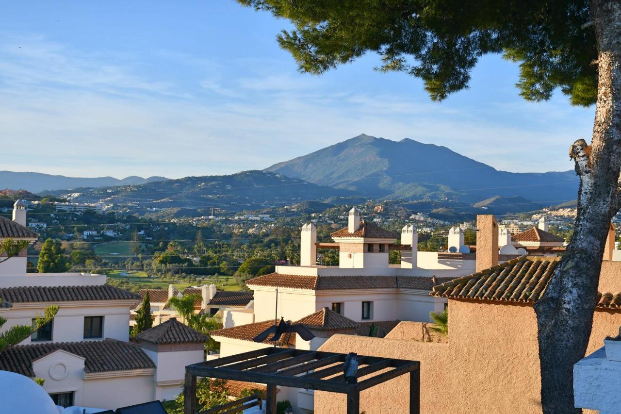 Yellow Jasper - Gemstone Getaway Marbella