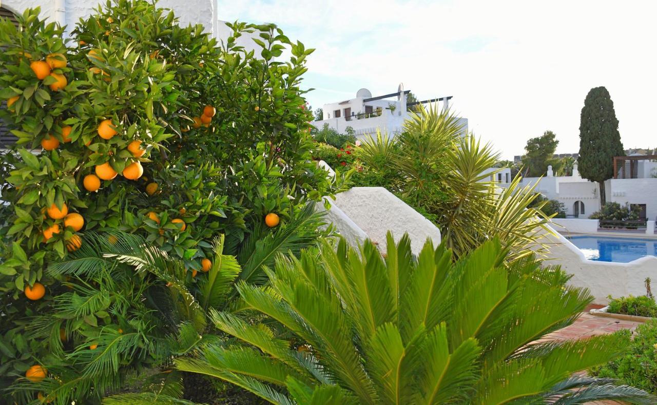 Yellow Jasper - Gemstone Getaway Vakantiehuis
